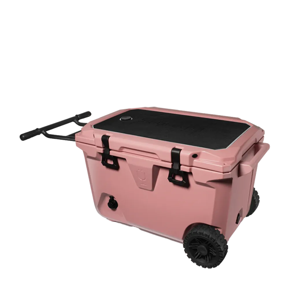 BruMate BruTank 55 qt. in morning rose