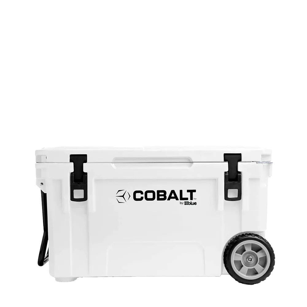Blue Cooler 5 day 55 quart cooler with wheels in White