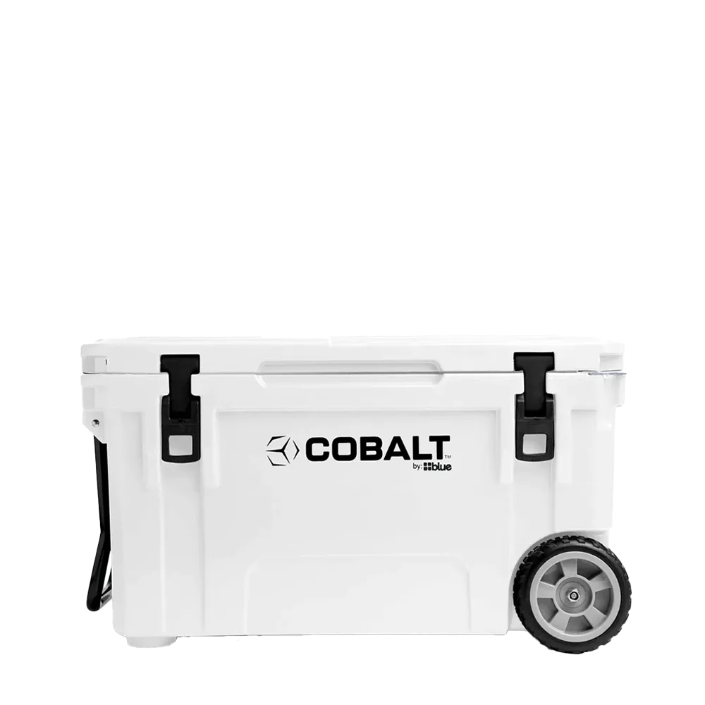Blue Cooler 5 day 55 quart cooler with wheels in White 