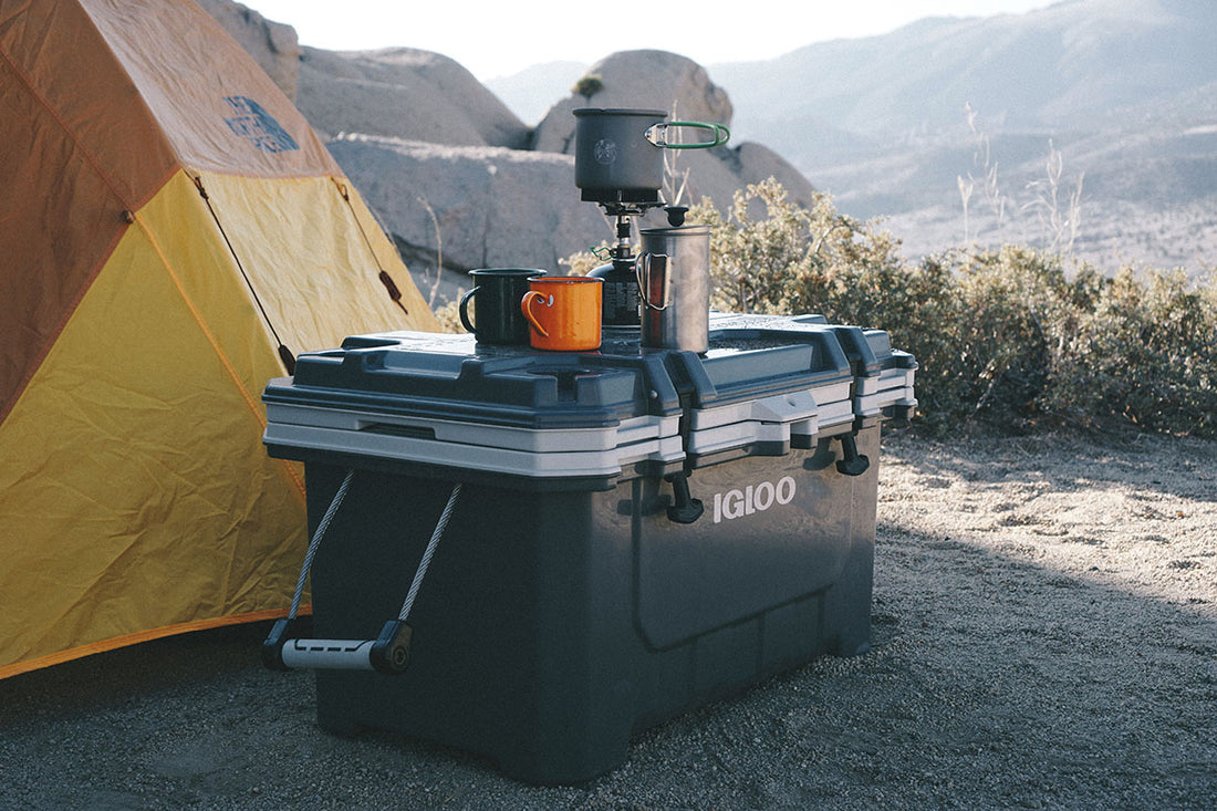 Black Igloo IMX Cooler sitting next to tent outdoors