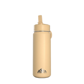 Hydrapeak 20 oz Active Mini Bottle 