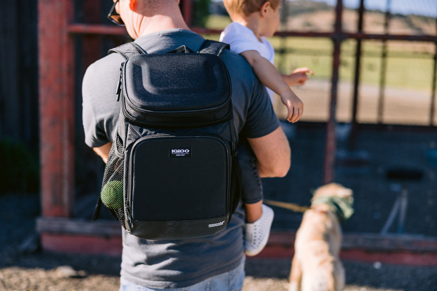 Maxcold Evergreen Hardtop Backpack | 18 Can