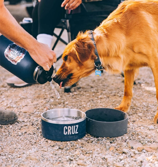 Personalized Pet Bowls Custom Branding