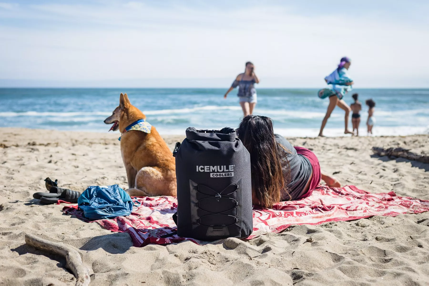 People enjoying a beach day with their black Icemule pro cooler