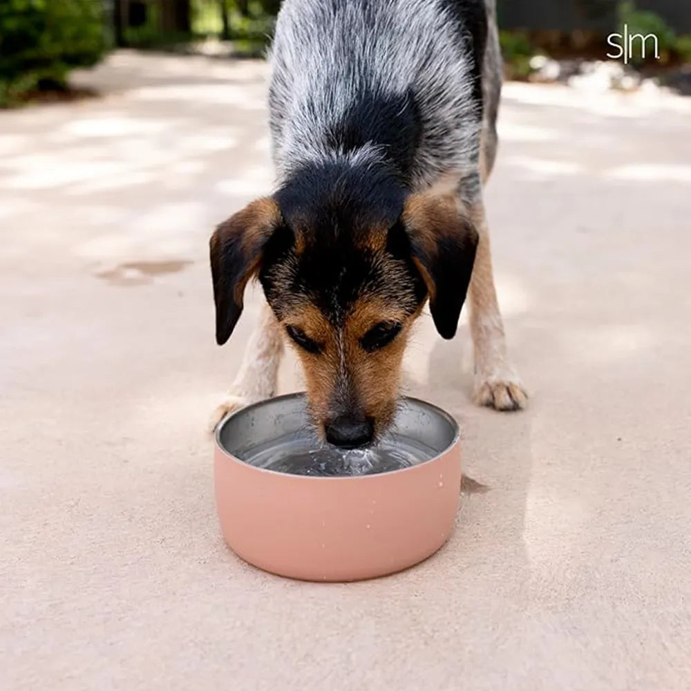 Bentley Pet Bowl | 4 cup