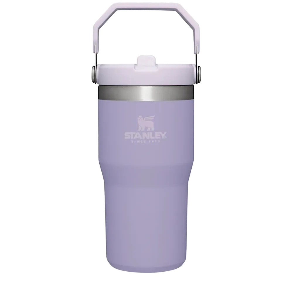 Stanley 20 oz IceFlow Flip Straw Tumbler 