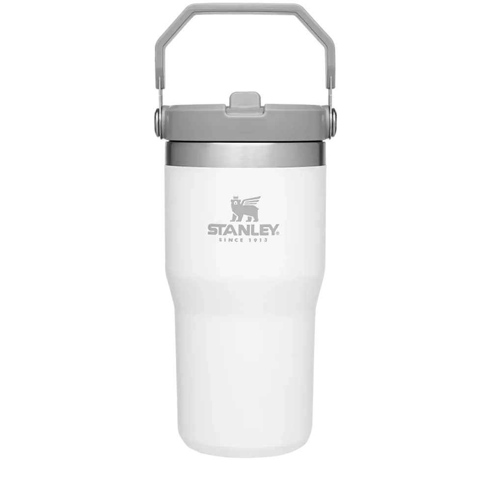 Stanley 20 oz IceFlow Flip Straw Tumbler 