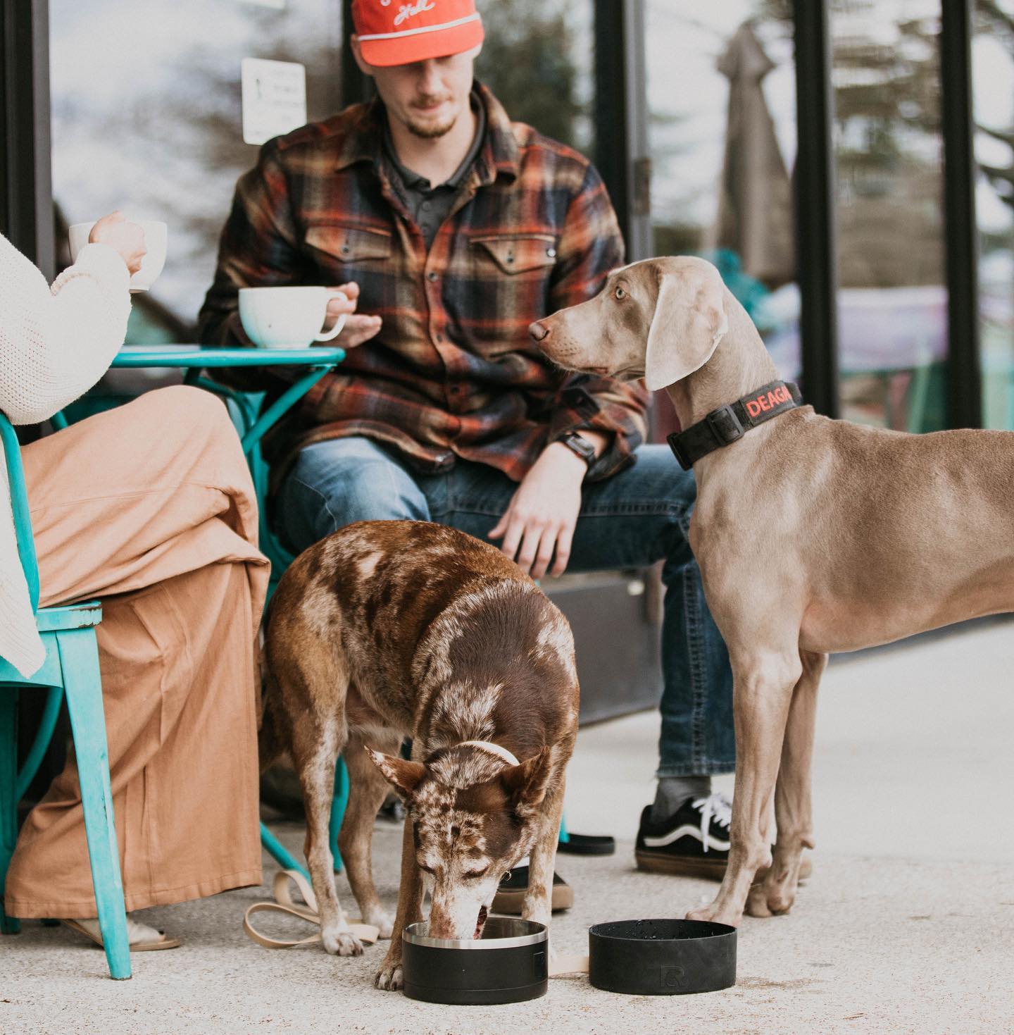 Man sitting at cafe with two dogs are are drinking from black RTIC dog bowl