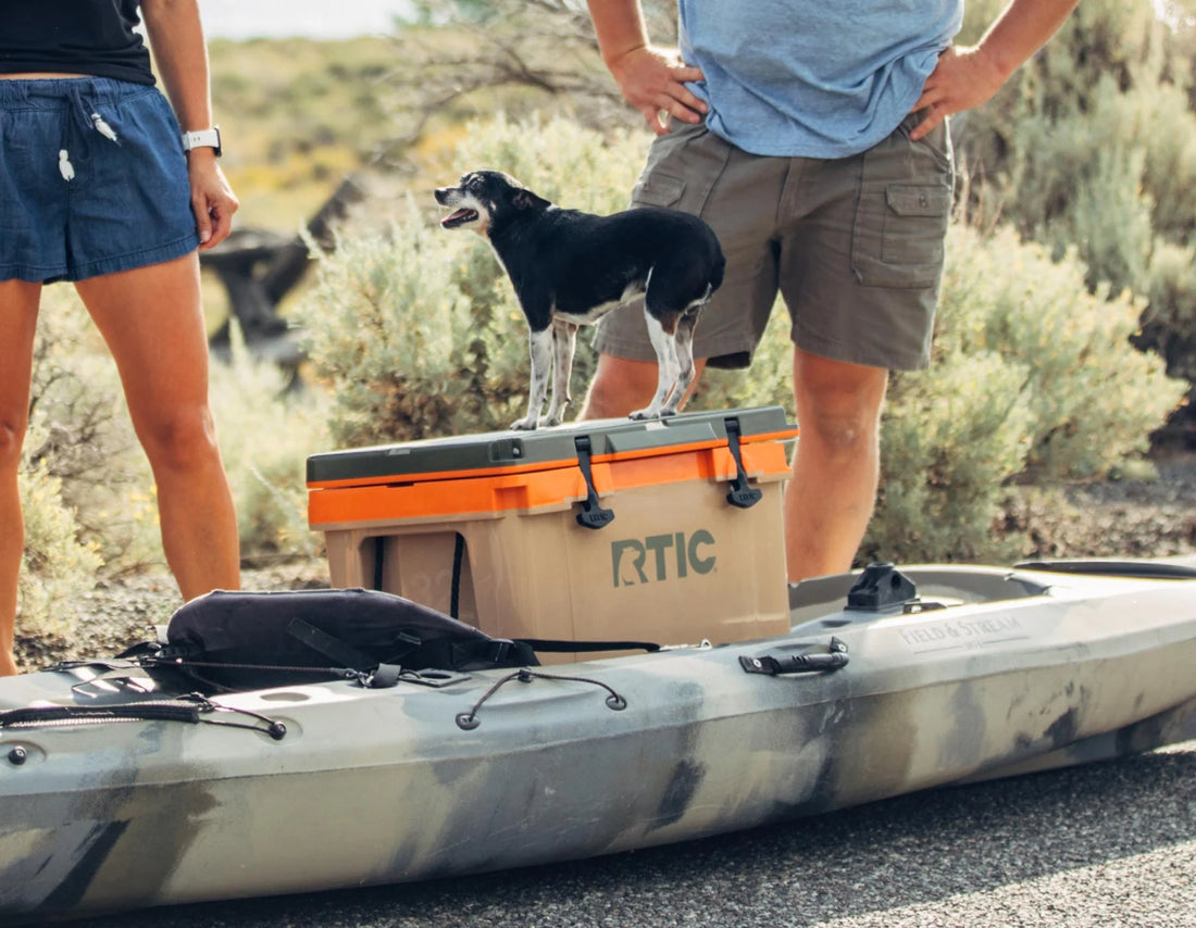Small dog standing on top of RTIC Ultra Light Cooler