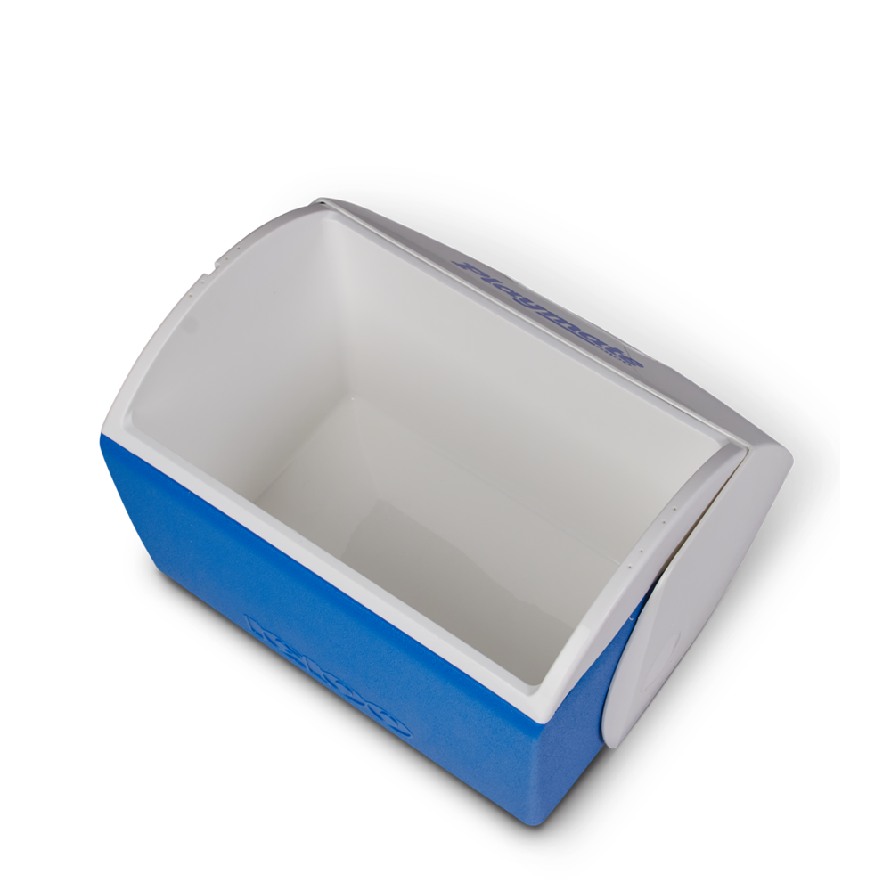 Customized Playmate Elite | 16 qt Cooler Coolers from Igloo 